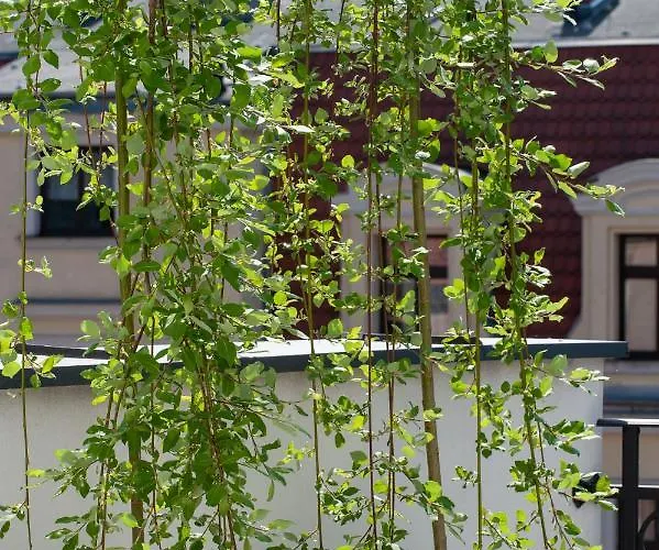 Апартаменти Eswiety10 Познань