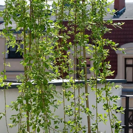 Апартаменти Eswiety10 Познань